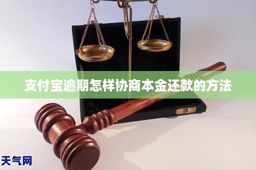 支付宝逾期怎样协商本金还款的方法