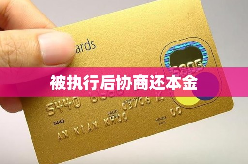 被执行后协商还本金