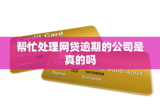 帮忙处理网贷逾期的公司是真的吗