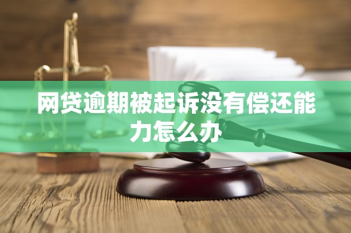 网贷逾期被起诉没有偿还能力怎么办
