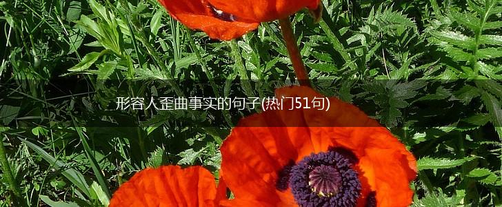 形容人歪曲事实的句子(热门51句),第1张