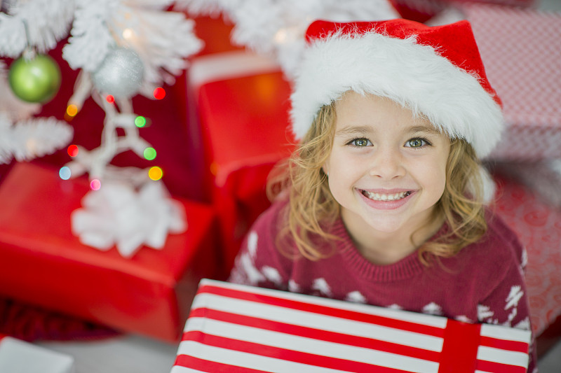 在树下图片下载