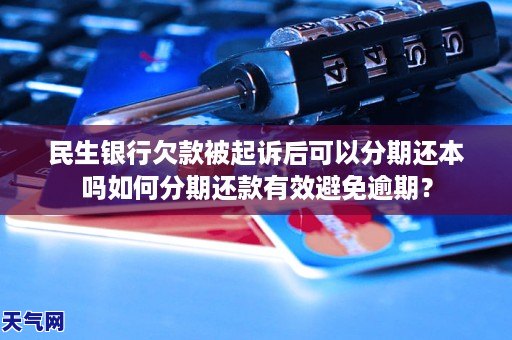 民生银行欠款被起诉后可以分期还本吗如何分期还款有效避免逾期?