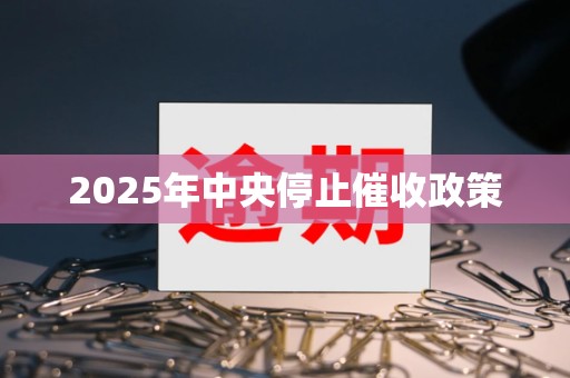 2025年中央停止催收政策