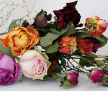 ドライフラワーの趣味