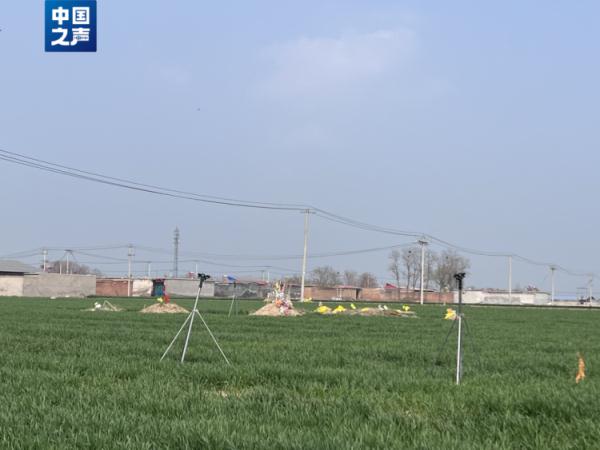 河北多地“散埋乱葬”问题突出，如何治理？