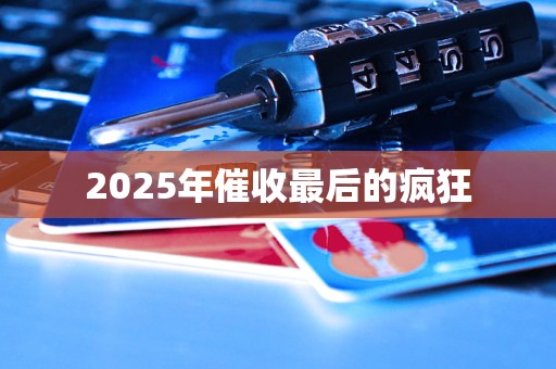 2025年催收最后的疯狂