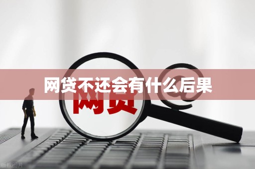 网贷不还会有什么后果