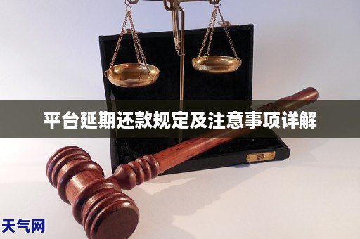 平台延期还款规定及注意事项详解