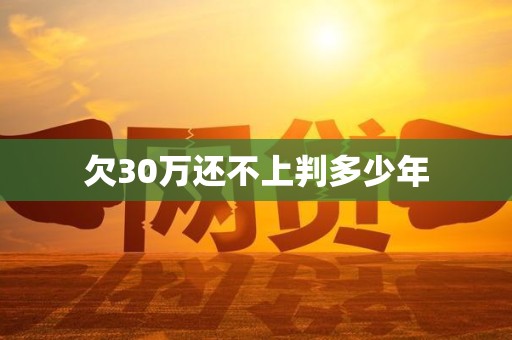 欠30万还不上判多少年