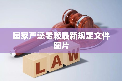 国家严惩老赖最新规定文件图片
