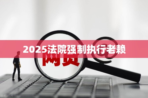 2025法院强制执行老赖