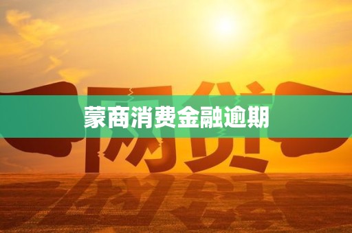 蒙商消费金融逾期