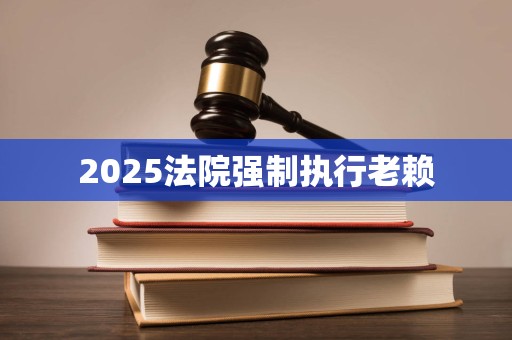 2025法院强制执行老赖