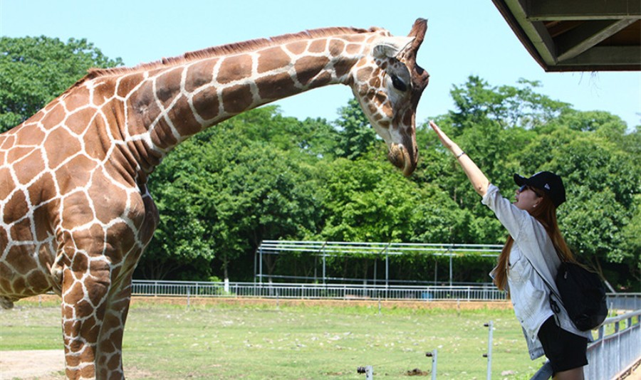 宁波野生动物园