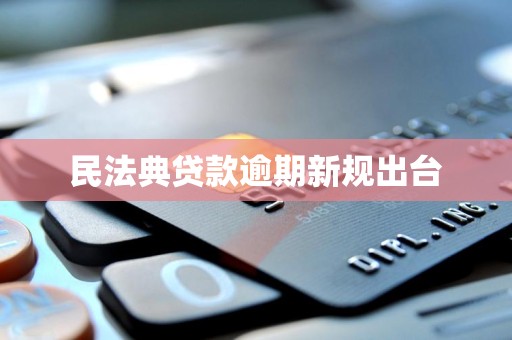 民法典贷款逾期新规出台