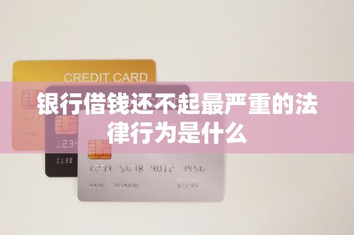 银行借钱还不起最严重的法律行为是什么