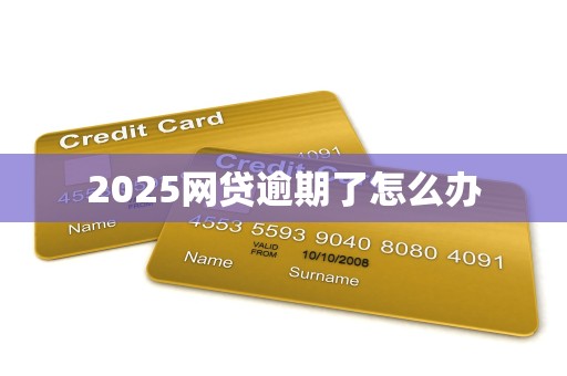 2025网贷逾期了怎么办