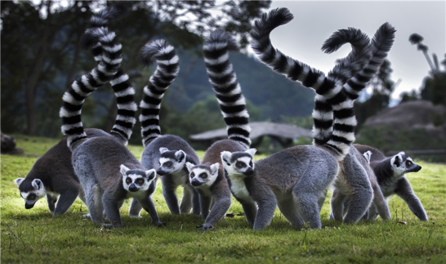 宁波野生动物园