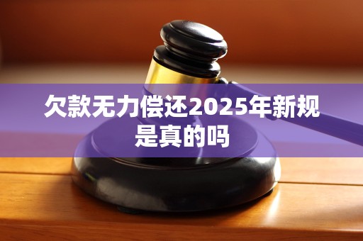 欠款无力偿还2025年新规是真的吗