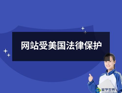 网站受美国法律保护