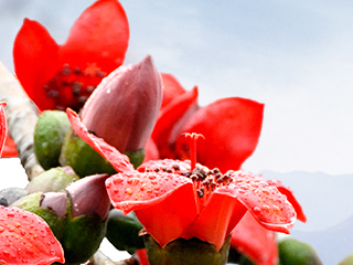 广东省劳动人事争议仲裁委员会“互联网+仲裁”异步审理规则（试行）