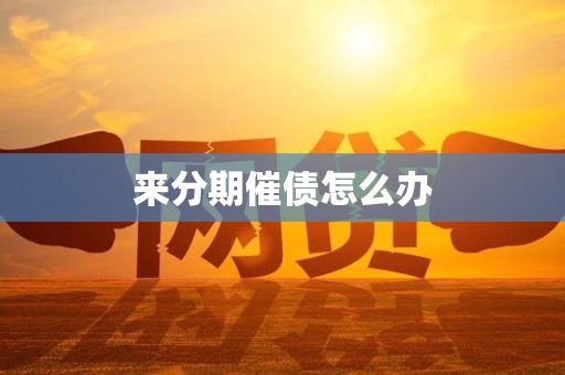 来分期催债怎么办