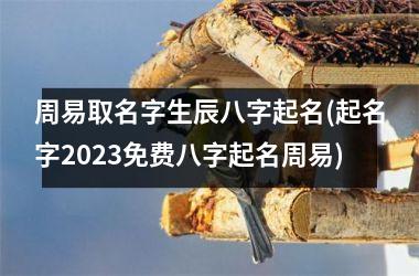 h3/p周易取名字生辰八字起名(起名字2025免费八字起名周易)
