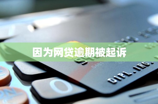 因为网贷逾期被起诉
