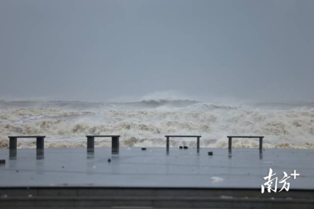 南方+ 吴明 拍摄