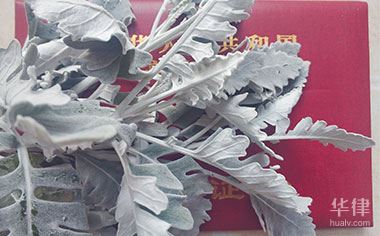 贷款的房子可以更名吗怎么办