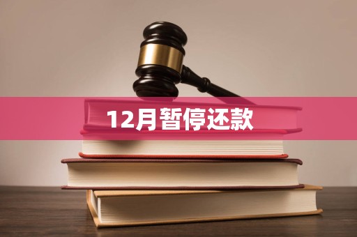 12月暂停还款