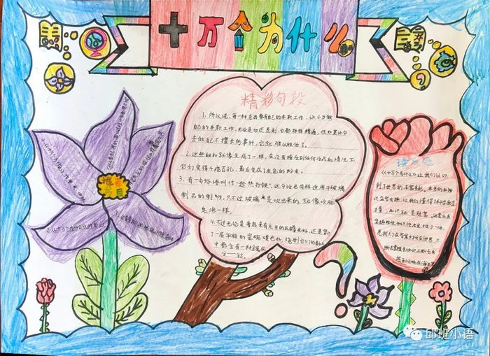 十万个为什么科普手抄报图片