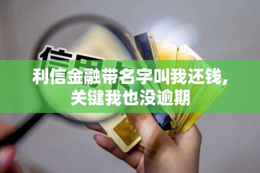利信金融带名字叫我还钱,关键我也没逾期