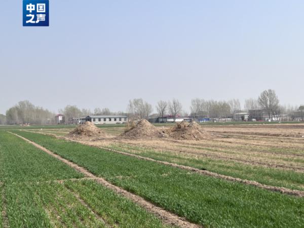 河北多地“散埋乱葬”问题突出，如何治理？