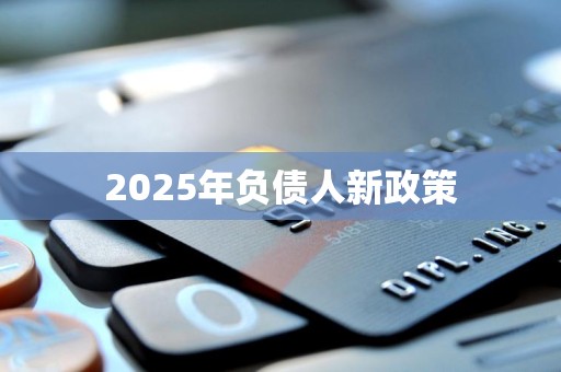 2025年负债人新政策