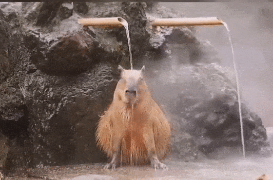 你家的热水器安全吗？ 这几个细节别忽视