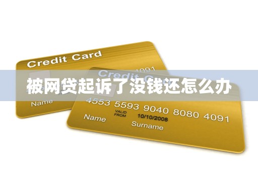 被网贷起诉了没钱还怎么办