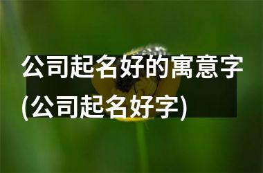 h3/p公司起名好的寓意字(公司起名好字)