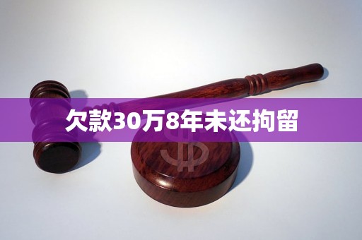 欠款30万8年未还拘留