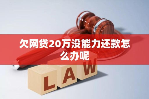 欠网贷20万没能力还款怎么办呢