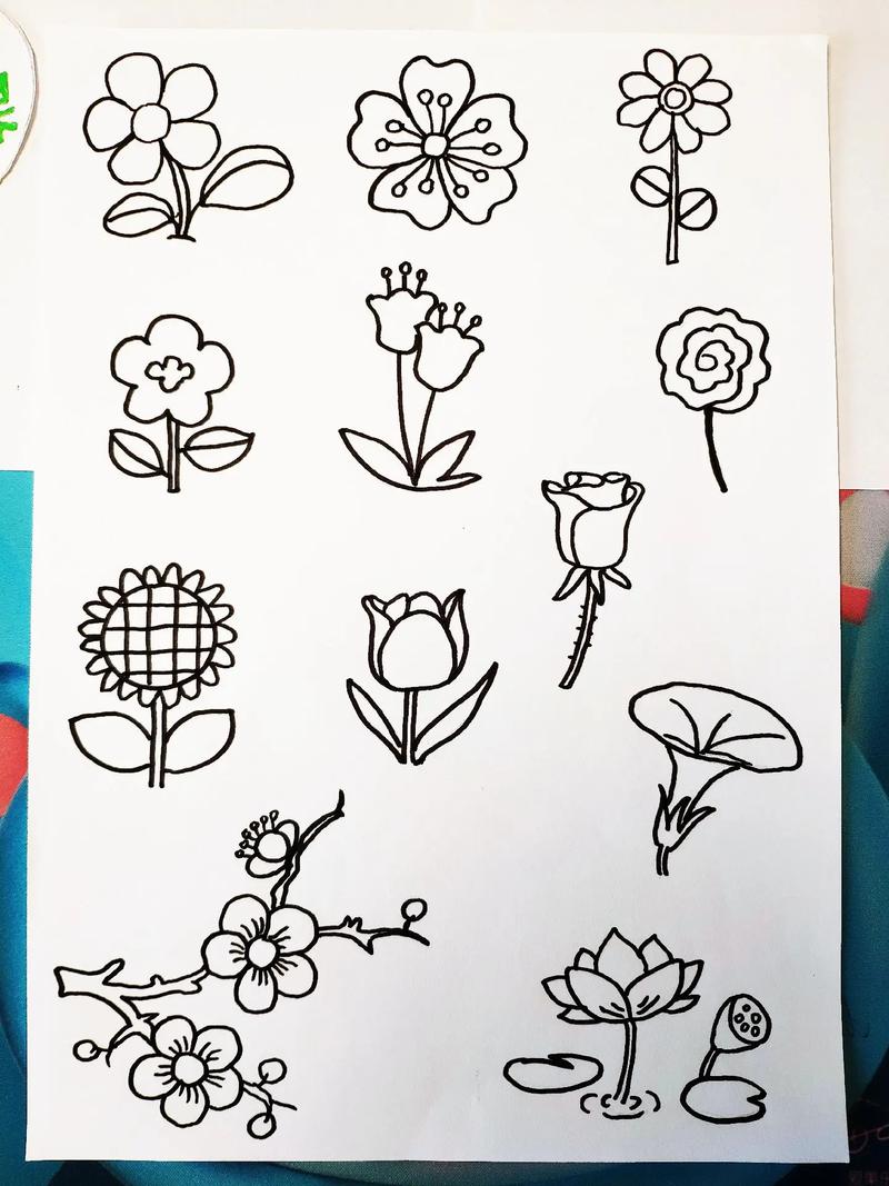 小朋友们轻松学会的100种简笔画图文伙伴计划  这100 - 抖音