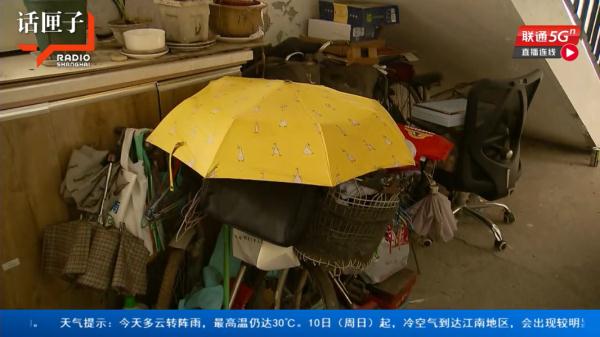 沪一小区居民楼道内做这事引来蟑螂无数，邻居：好想逃，却逃不掉...