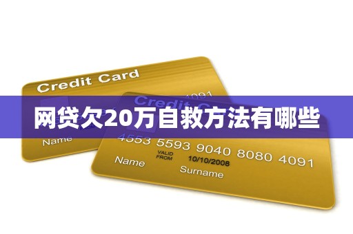 网贷欠20万自救方法有哪些