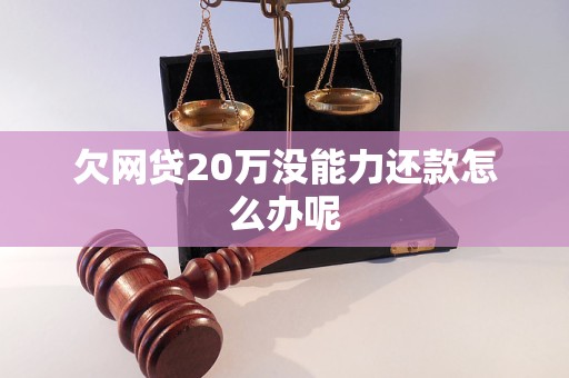 欠网贷20万没能力还款怎么办呢