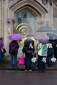 关于维护老人的法律法规(保护老年人的法律有哪些)