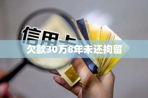 欠款30万8年未还拘留