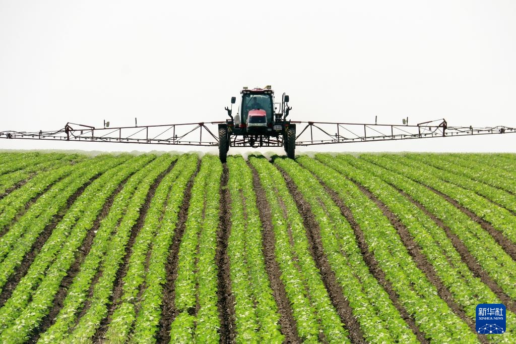 黑龙江垦区：“用养结合”保护黑土地