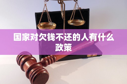 国家对欠钱不还的人有什么政策