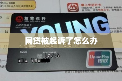 网贷被起诉了怎么办